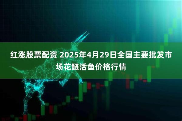 红涨股票配资 2025年4月29日全国主要批发市场花鲢活鱼价格行情