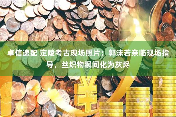 卓信速配 定陵考古现场照片：郭沫若亲临现场指导，丝织物瞬间化为灰烬