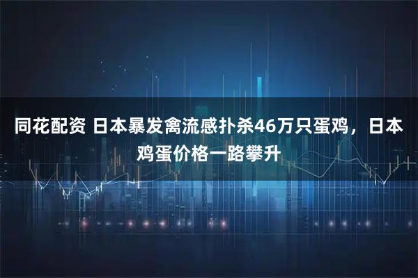 同花配资 日本暴发禽流感扑杀46万只蛋鸡，日本鸡蛋价格一路攀升